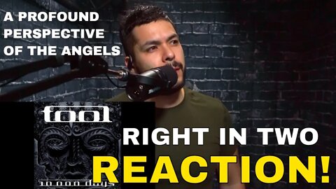 Tool Right in Two (Reaction!) | The melancholy of the angels watching us divided