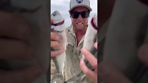 Mini CATCH AND COOK delicious fish on the beach