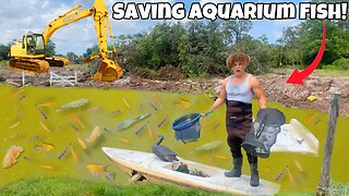Saving AQUARIUM FISH From DESTROYED Abandoned POND!