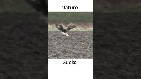 Nature Sucks