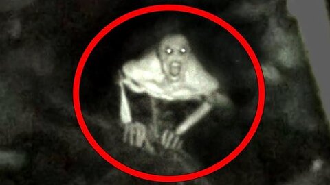 5 Most Mysterious & Unidentified Creatures Caught On Camera