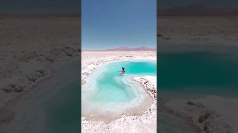 Trip to the Salar de Pedernales in Chile.