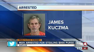 Man Arrested for Stealing $800 purse