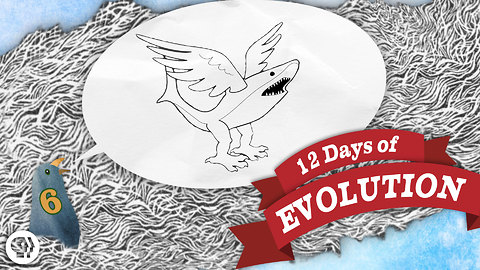 Evolution Is Dumb - 12 Days of Evolution #6