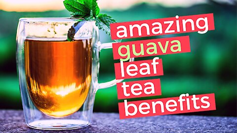 9 Guava Leaf Tea Benefits | Guava Leaf Tea for Diabetes