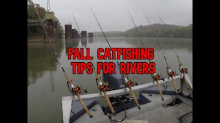 Catfishing Tips and Techniques