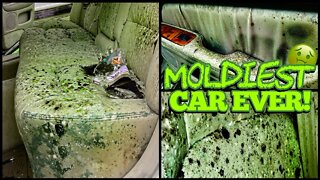 Deep Cleaning the MOLDIEST BIOHAZARD Lexus EVER! | Satisfying DISASTER Car Detailing Transformation