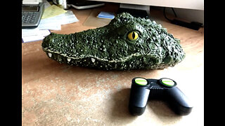 Maiden Voyage of my Remote Control Crocodile Head at the Park