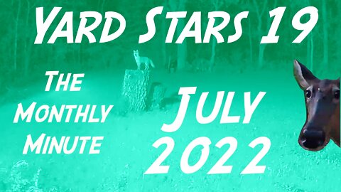 Yard Stars 19 The Monthly Minute July 2022