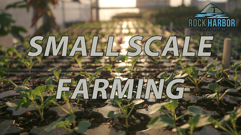 Small Scale Farming By Brett Finster [The Marketplace]