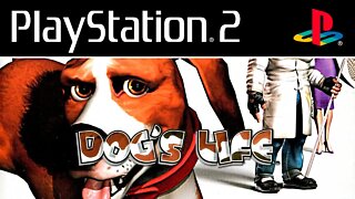 DOG'S LIFE (PS2) - Gameplay do início do jogo simulador de cachorro em português! (Dublado em PT-BR)