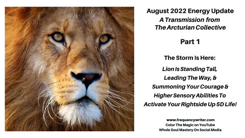 August 2022 Energy Update: The Storm Is Here! Lion Summons Your Courage & Higher Sensory Abilities