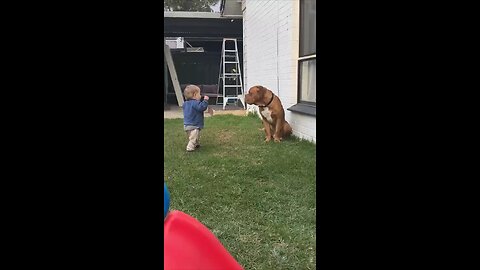 so emotional baby and dog love