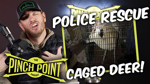 Caged Deer, How to Avoid Deer on The Road, Bear Attack Survivor! | The Pinch Point Ep. 34