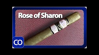 Southern Draw Rose of Sharon Gordo Cigar Review