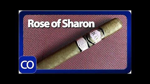 Southern Draw Rose of Sharon Gordo Cigar Review