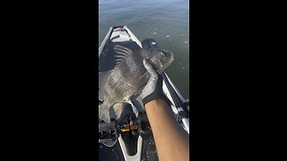 Caught A Big Fish While Kayak Fishing