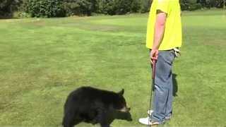 Friendly Bear Cub Walks Across Golf Course To Give Man A Hug