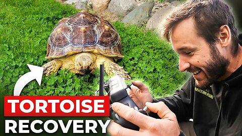 Tortoise Recovery with Braydon Price