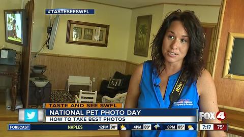 Taking the best pictures of your pet on National Pet Photo Day