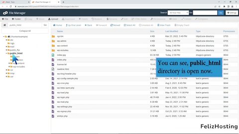 How to create a new file or folder in cPanel File Manager with FelizHosting