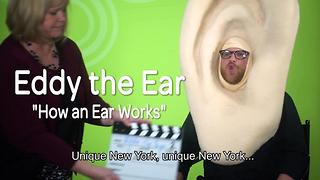 Eddy the Ear - How Hearing Works