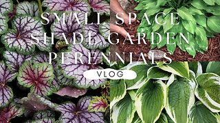 Small Space Shade Garden | Planting Shade Loving Perennials