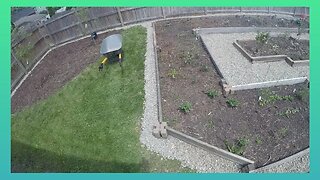 Making Raised Bed Gardens From Reclaimed Barn Wood