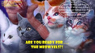 Are You Ready For . . . The Meowvels?!-Disney Marvel Vid-A Munchausen’s Proxy-The Social Misanthrope