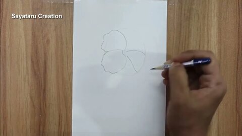 How to draw a hibiscus flower step by step pencil sketch