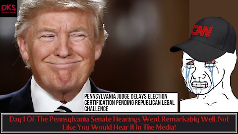 Day 1 Of Pennsylvania Senate Hearings Went Remarkably Well, Not Like You Would Hear It In The Media!