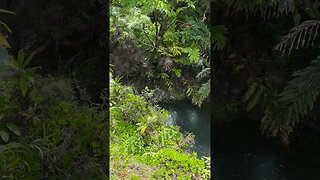 A young girl dives on a waterfall cliff at Waiʻānapanapa State Park, Maui, Hawaii. #cliffdiving