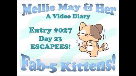 Video Diary Entry 027: Knew This Day Would Come...Escapees! Day 23