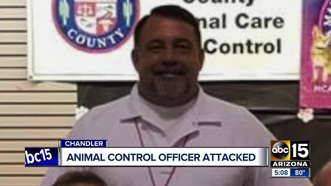 Animal control officer attacked in Chandler, dog shot and killed