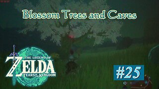 Blossom Trees and Caves-Tears of the Kingdom Walkthrough Part 25