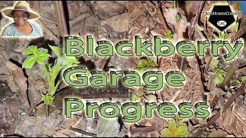 #blackberry #garage Progress