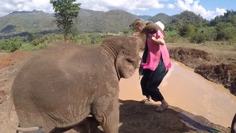 Baby Elephant Pushes Girl Into Watering Hole!