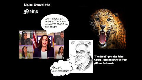 "The Real" gets the fake Court Packing answer from #Kamala Harris