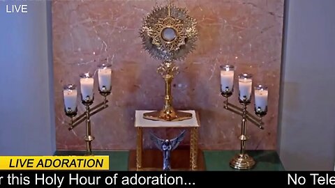 Holy Hour Time of Prayer with Fr. Frank Pavone