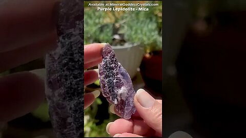 Lepidolite Mica Crystals Best Crystals for Anxiety and Stress Mineral Goddess Mica Lepidolite