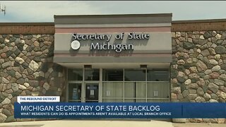 Michigan Secretary of State Backlog