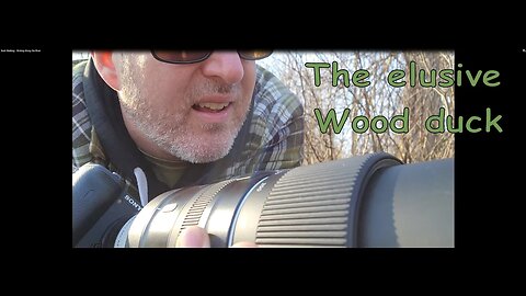 Bush Walking - Birding Along the River