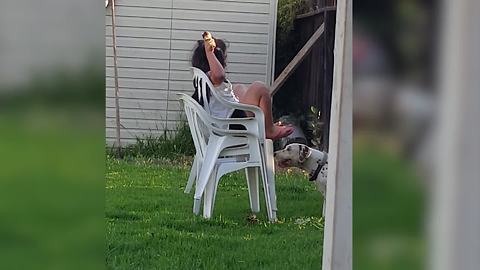 "Dog Chases Little Girl To Get Her Ice Cream"