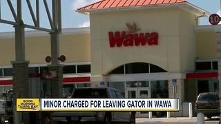 Teen charged with dumping gator inside Wawa store in Florida