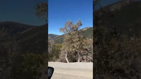 Driving Up A Mountain In Colorado