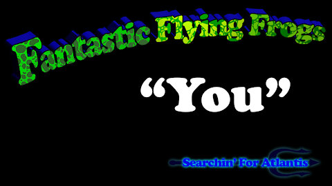 You - The Fantastic Flying Frogs