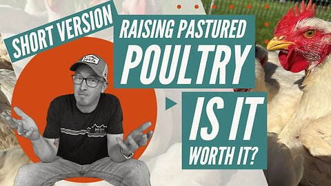 Raising Pastured Poultry: Is it Worth it? Short Version