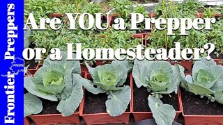 Are YOU a PREPPER or a HOMESTEADER?