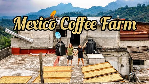 INCREDIBLE Coffee tour rural Mexico | From this farm to your cup ☕️