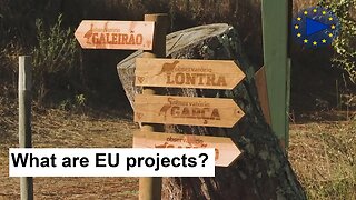 Saving Nature and Biodiversity in Europe: EU-Funded Projects Explained